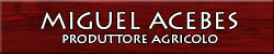 banner-miguel-acebes
