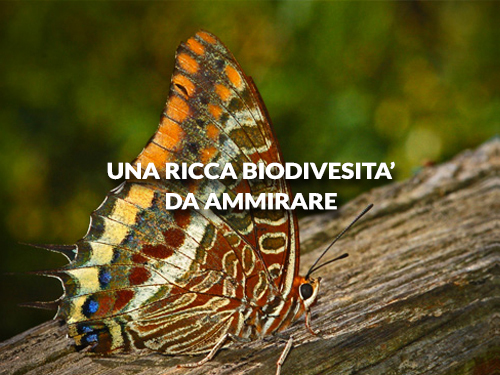 biodiversita