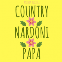 country-nardoni-papa