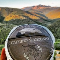 formaggio-di-capra-latina-norma-umberto-giuliani